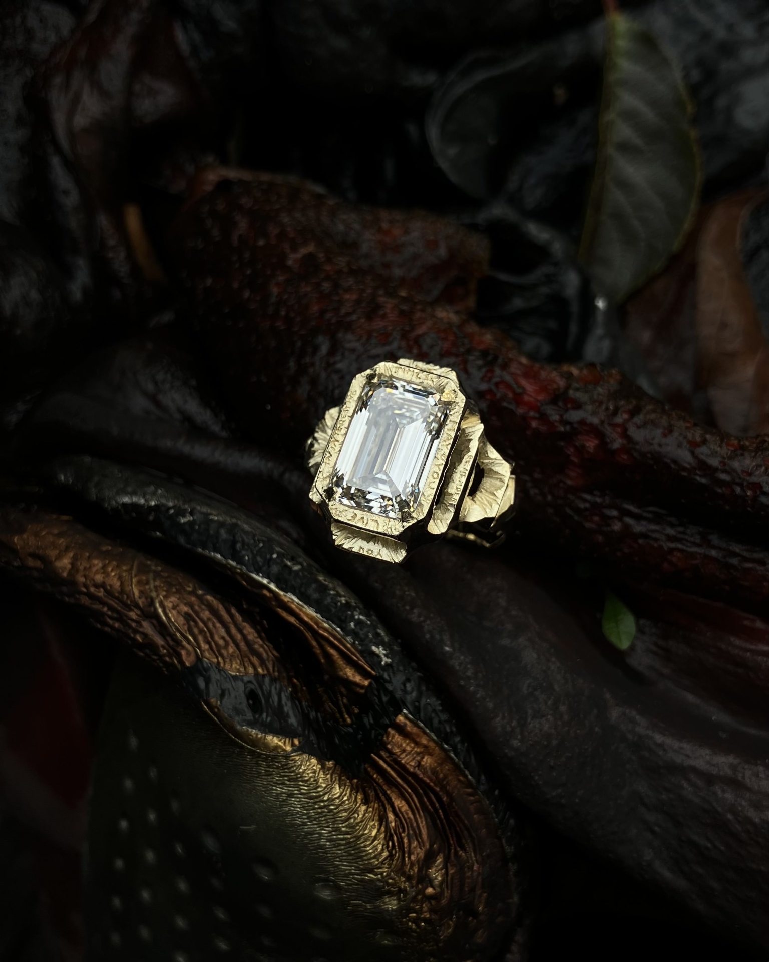 Finalisté 2025 Finalisté 2025