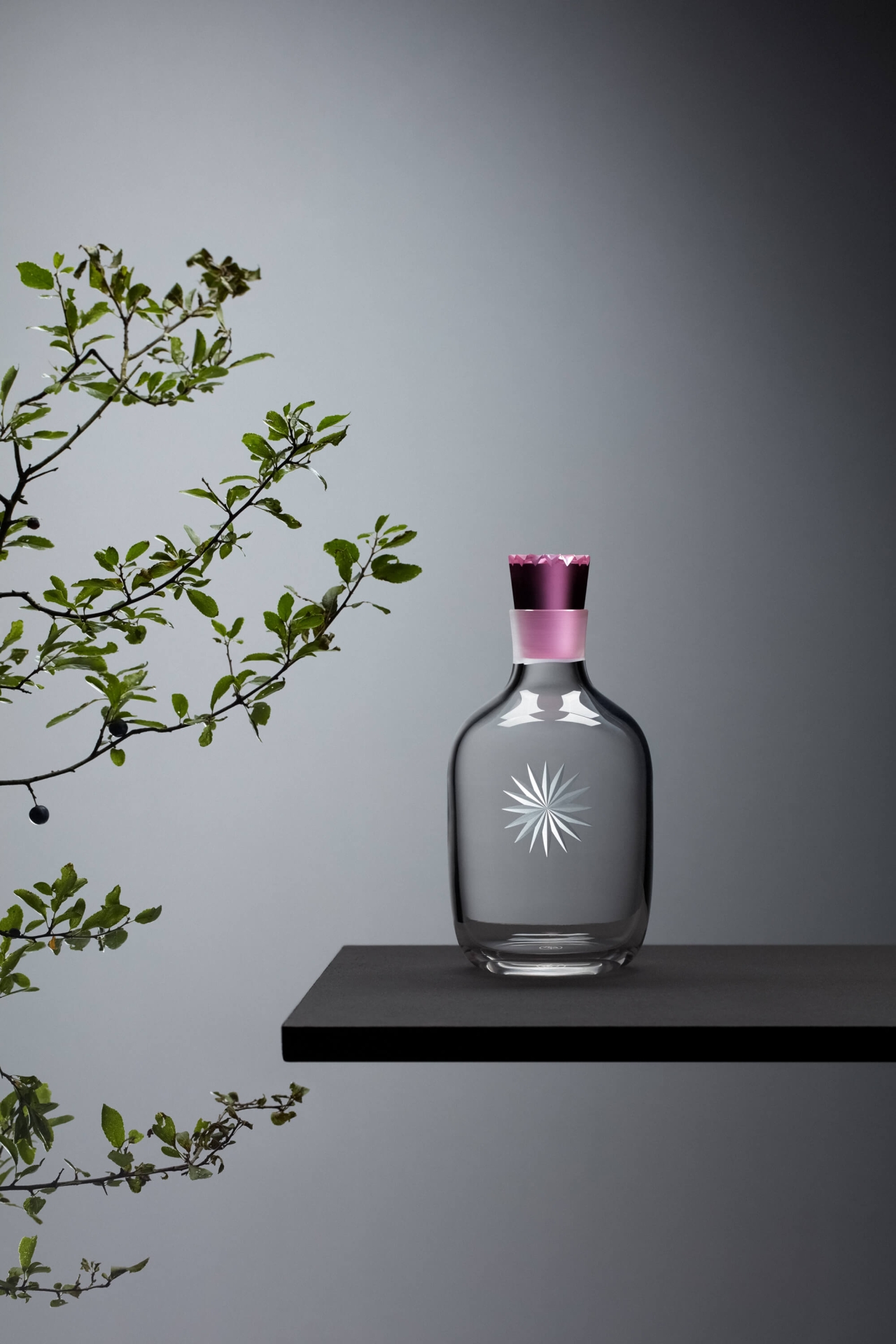 relaunch of the brand and České nebe collection (Rony Plesl) relaunch of the brand and České nebe collection (Rony Plesl)